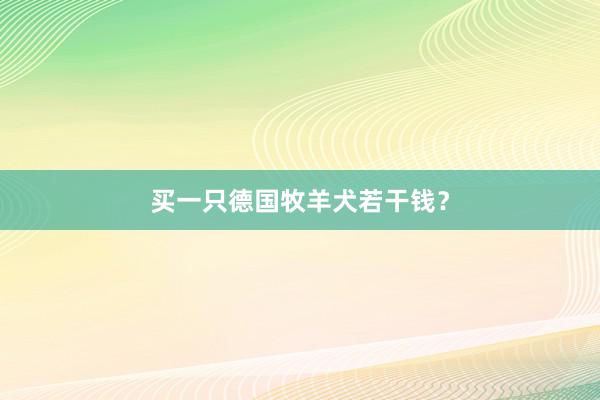 买一只德国牧羊犬若干钱？