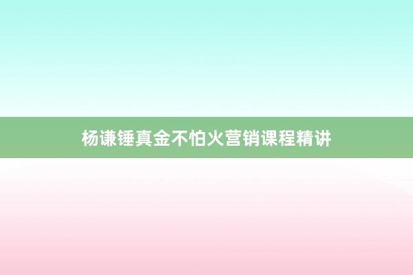 杨谦锤真金不怕火营销课程精讲